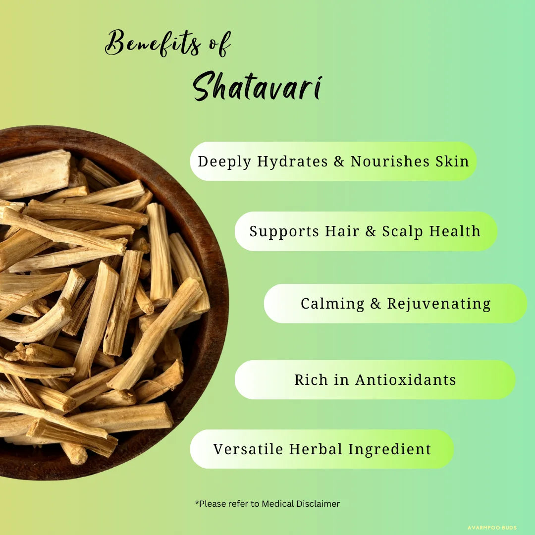 Shatavari /Thaneer Vittan Kizhangu