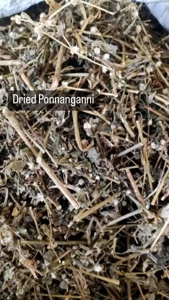 Ponnangani Leaves
