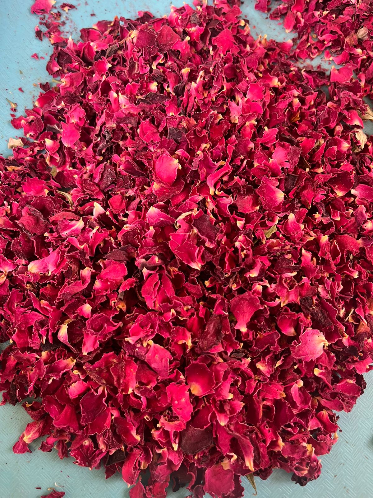 Rose Petals