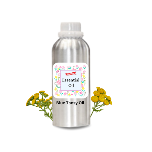 Blue Tansy Oil
