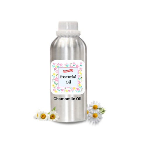 Chamomile Oil