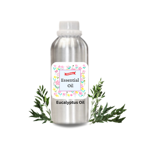 Eucalyptus Oil