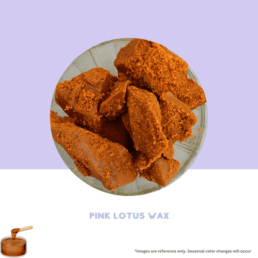 Pink Lotus Absolute Wax