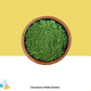 Chromium Oxide (green)
