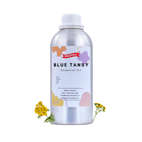 Blue Tansy Oil