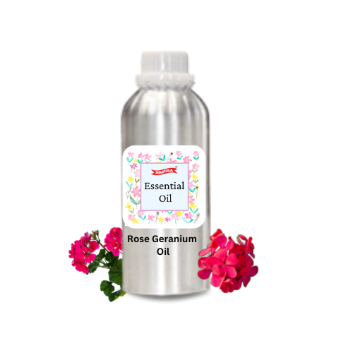 Rose Geranium Oil